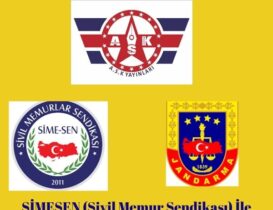 SimeSen İle Yürüttüğümüz Çalışma