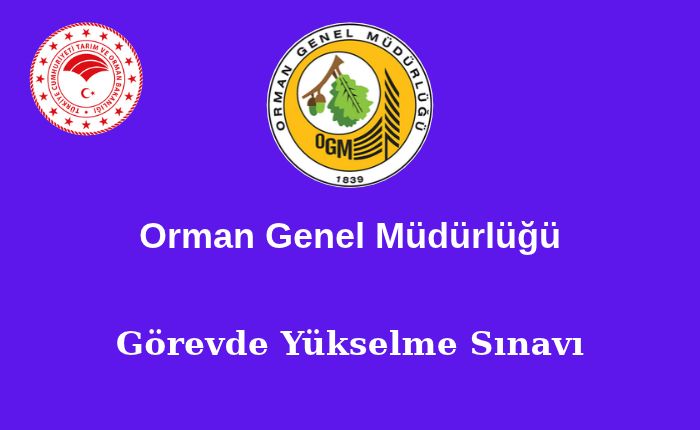 küçük resim