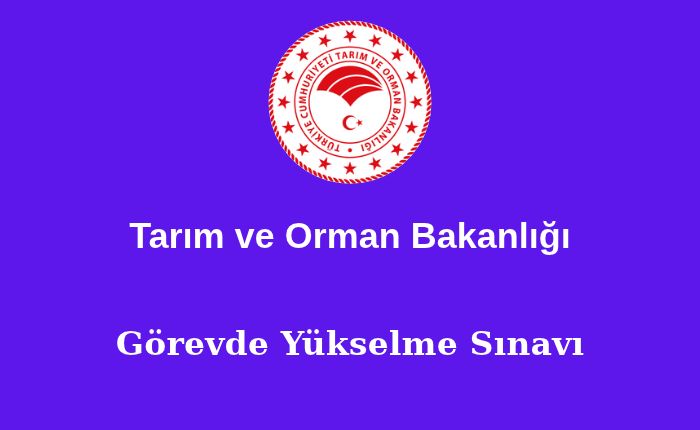 küçük resim